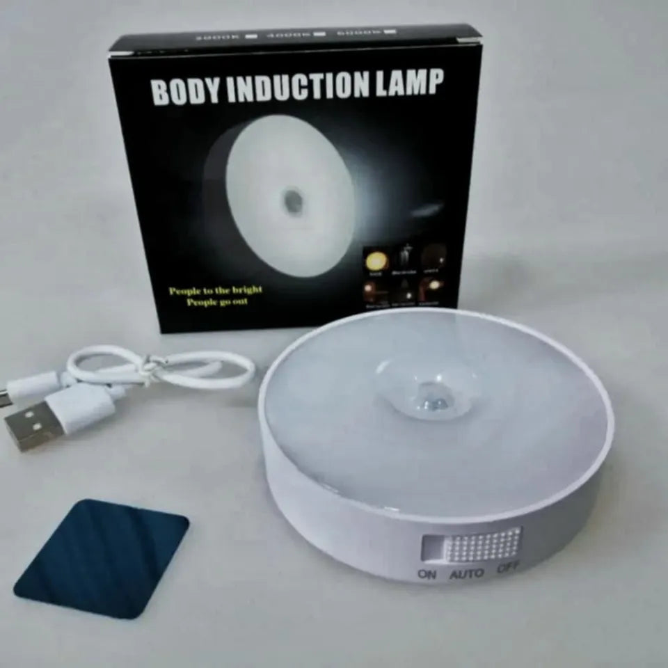Intelligent Induction LED Sensor Light